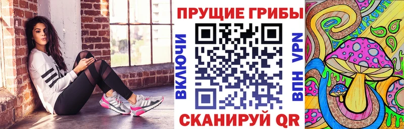 гидра зеркало  цены наркотик  Ахтубинск  Псилоцибиновые грибы GOLDEN TEACHER 